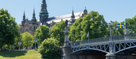 Stockholm: Walk Through Royal Djurgården & the Legendary Vasa Museum